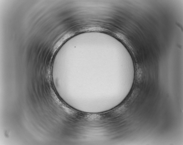 X0000102011282200808151243