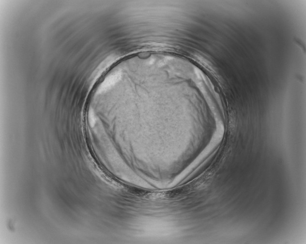 X0000102011283200808151243