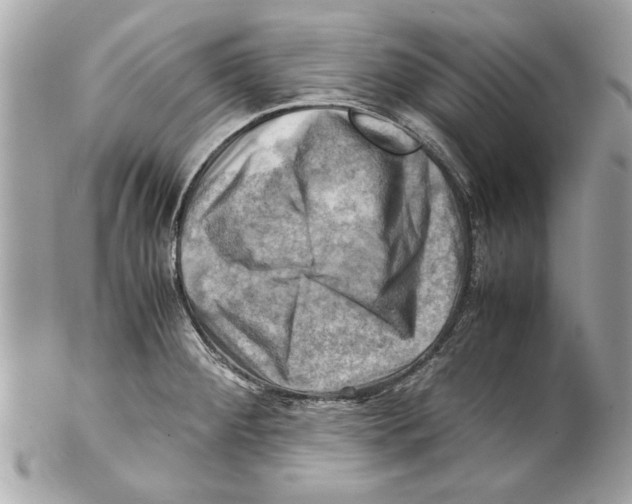 X0000102011284200808151243