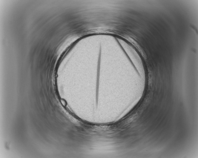 X0000102011285200808151243