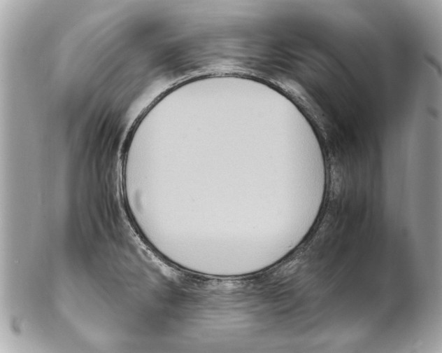 X0000102011286200808151243