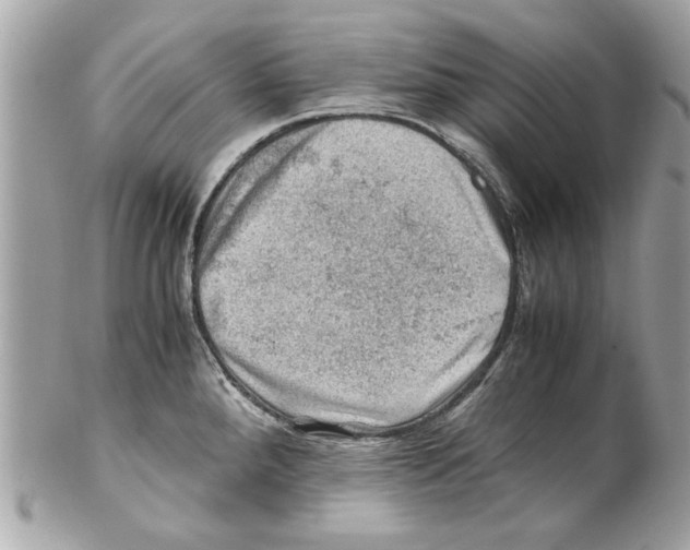 X0000102011288200808151243