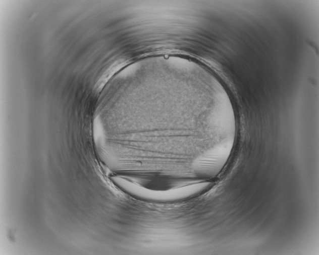 X0000102011289200808151243