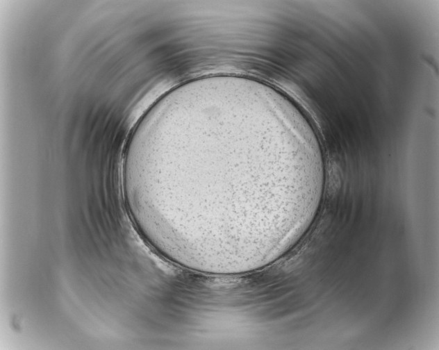 X0000102011290200808151243