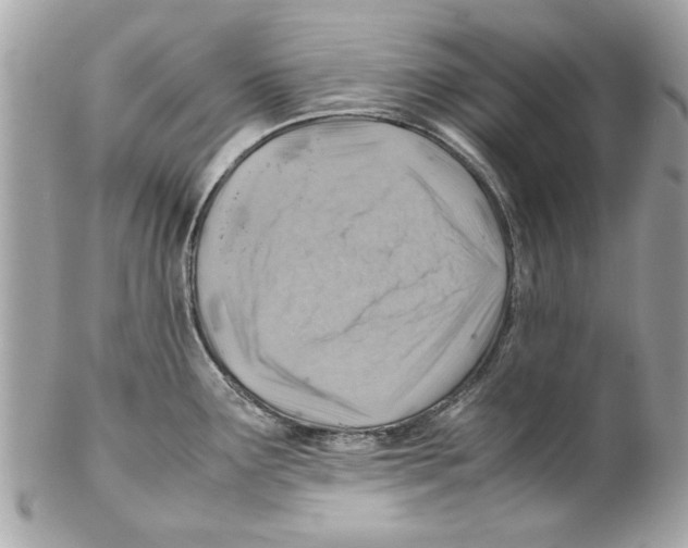 X0000102011291200808151243