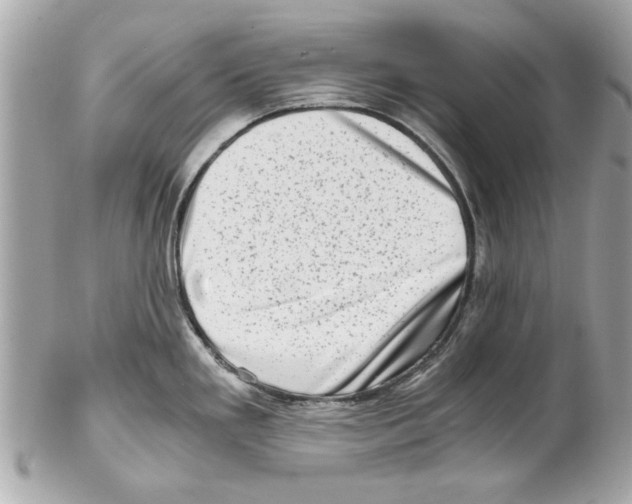 X0000102011293200808151243