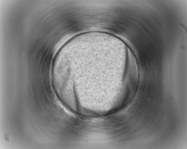 X0000102011294200808151242