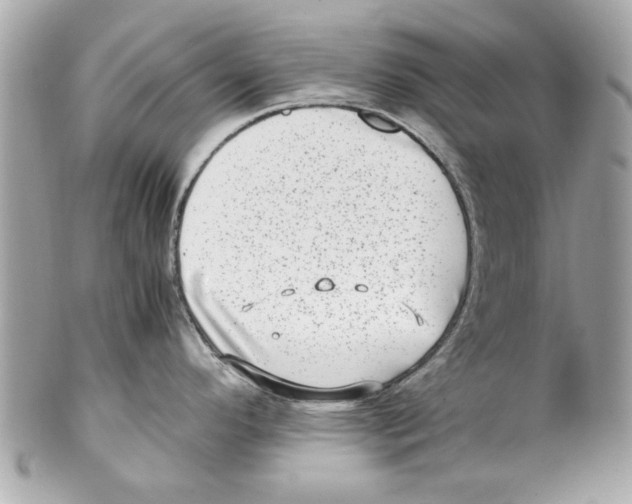 X0000102011296200808151242