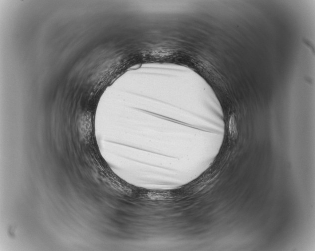 X0000102011299200808151242