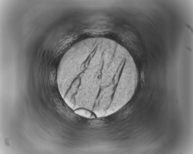 X0000102011300200808151242