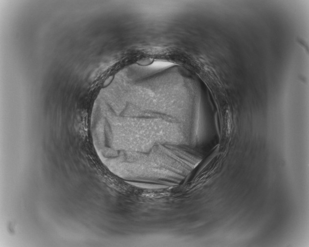 X0000102011301200808151242