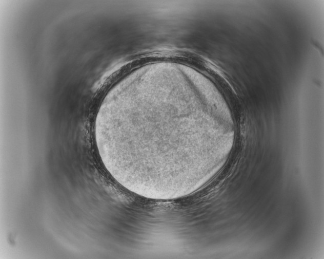 X0000102011304200808151242