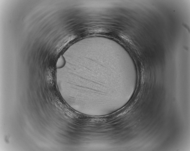 X0000102011305200808151242