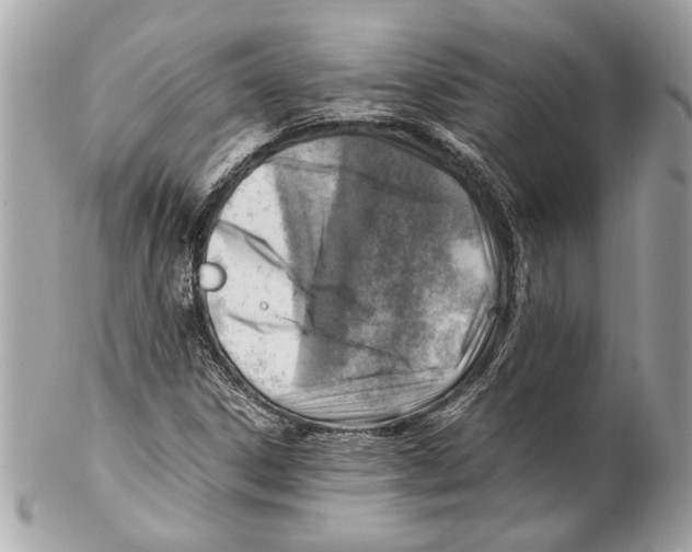 X0000102011306200808151242