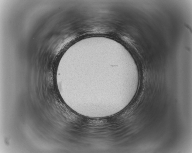 X0000102011307200808151242