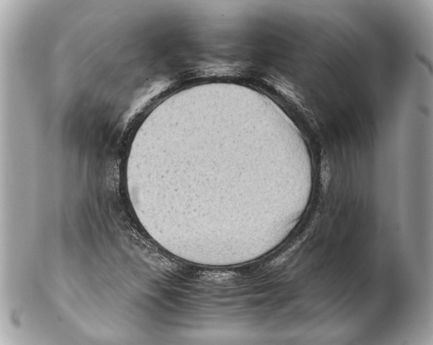 X0000102011309200808151242