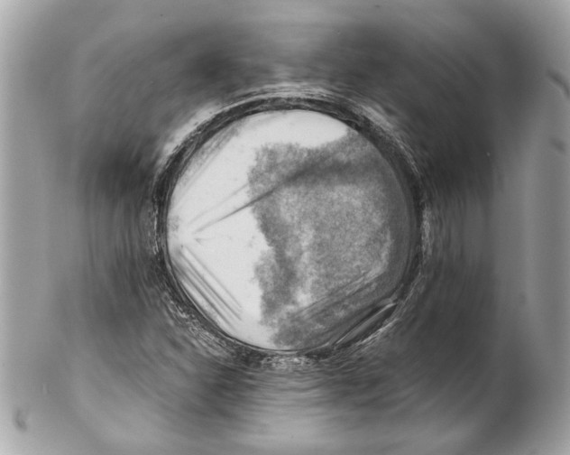 X0000102011310200808151242