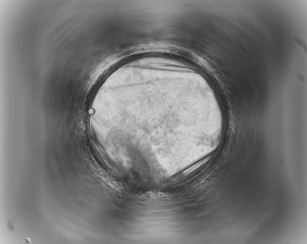 X0000102011312200808151242