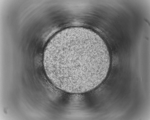 X0000102011314200808151242