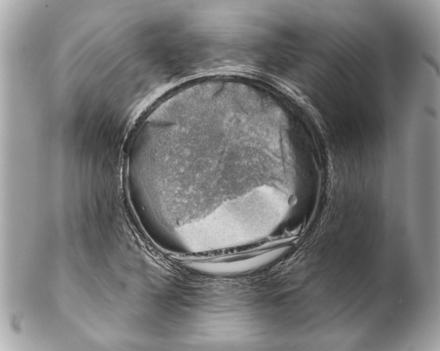 X0000102011316200808151242