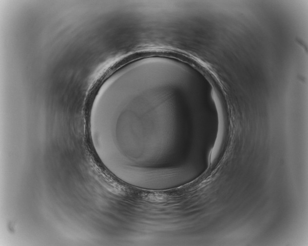 X0000102011319200808151242