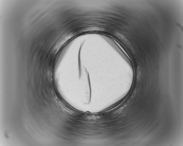 X0000102011321200808151242