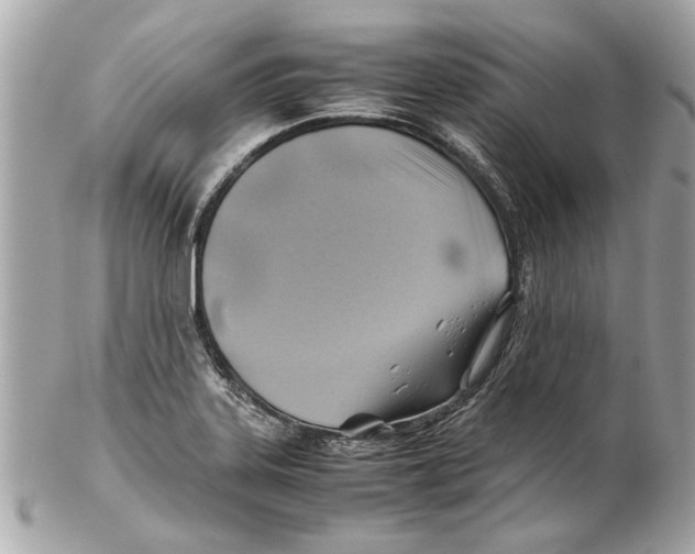 X0000102011323200808151242