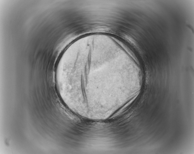 X0000102011324200808151242