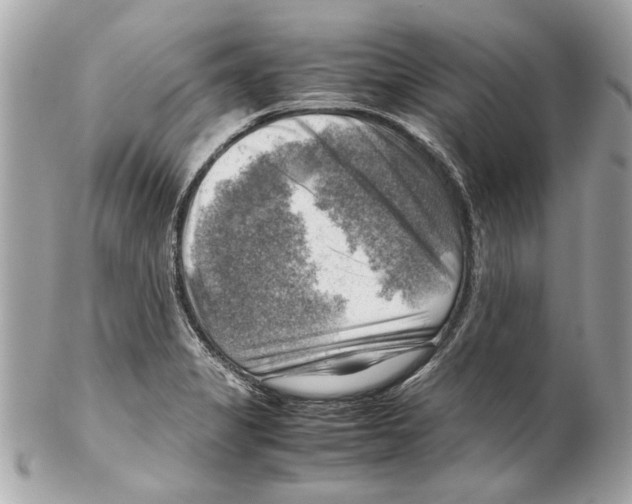 X0000102011325200808151242