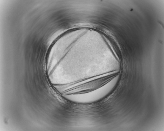 X0000102011328200808151242