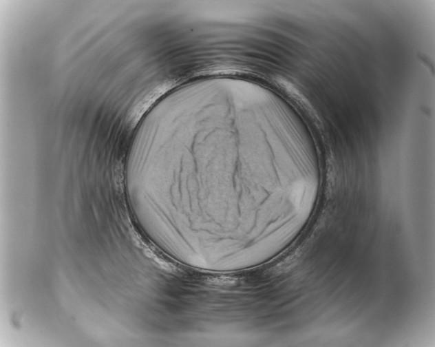 X0000102011329200808151242