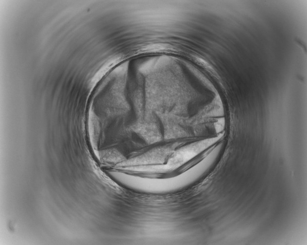 X0000102011330200808151242