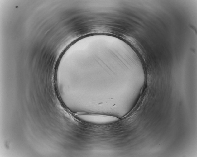 X0000102011331200808151242