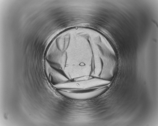 X0000102011332200808151242