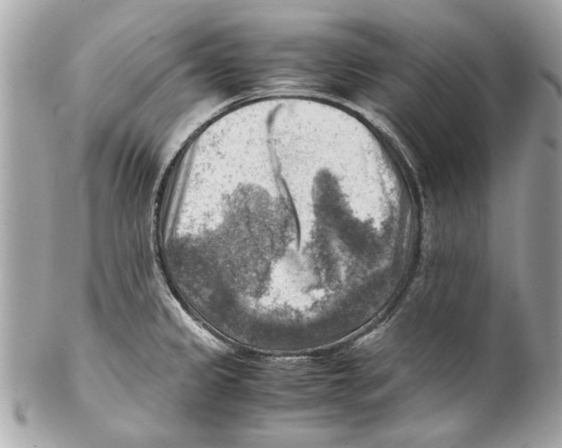 X0000102011333200808151242