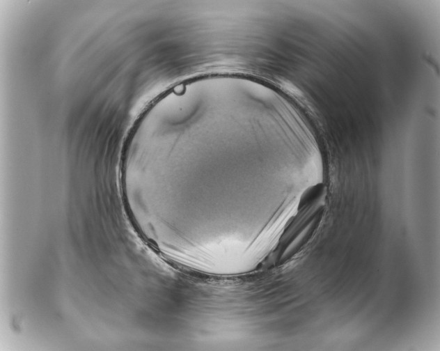 X0000102011334200808151242