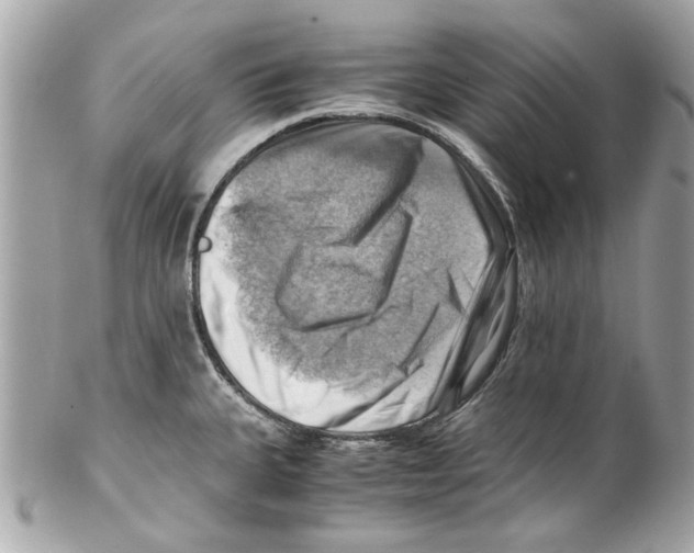 X0000102011335200808151242