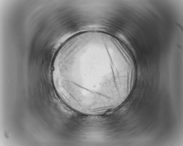 X0000102011336200808151242