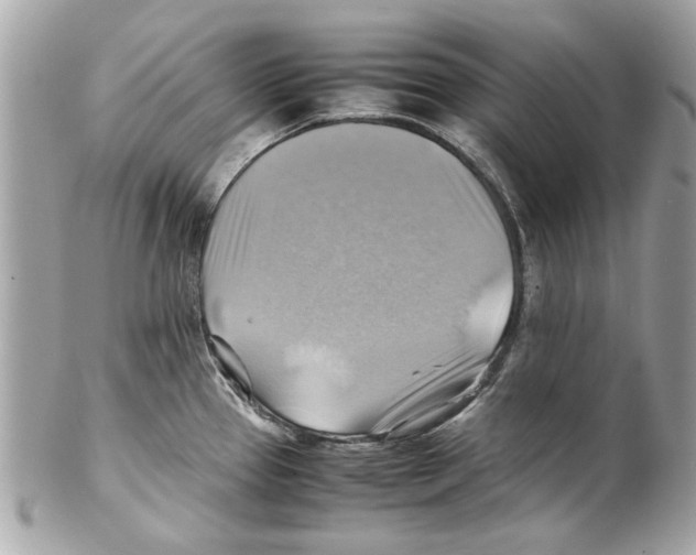 X0000102011337200808151242