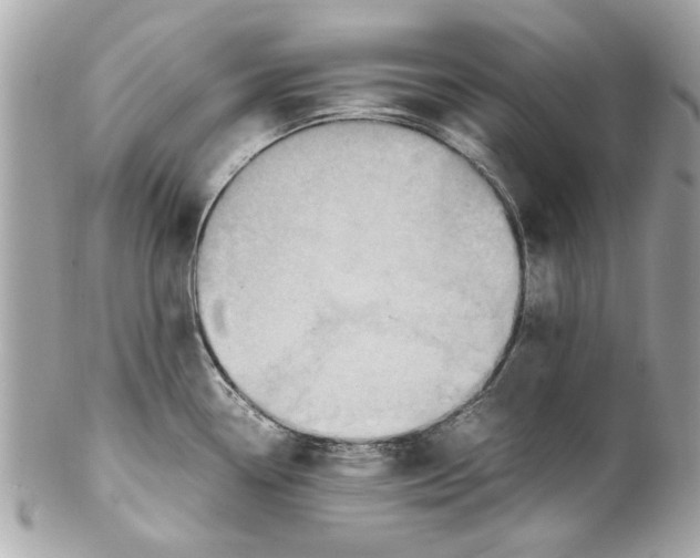 X0000102011338200808151242