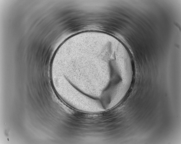 X0000102011339200808151242