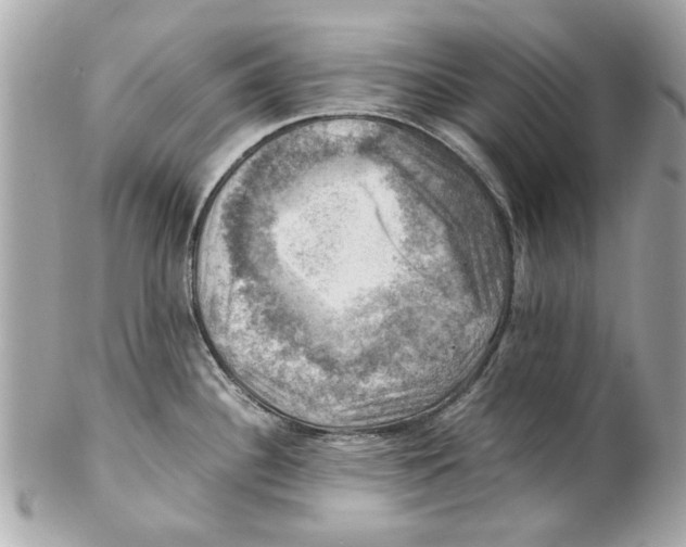 X0000102011340200808151242