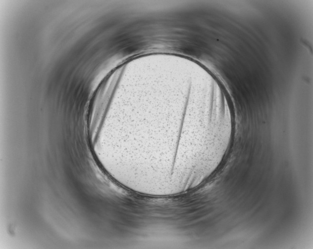 X0000102011341200808151242