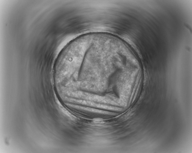 X0000102011342200808151242