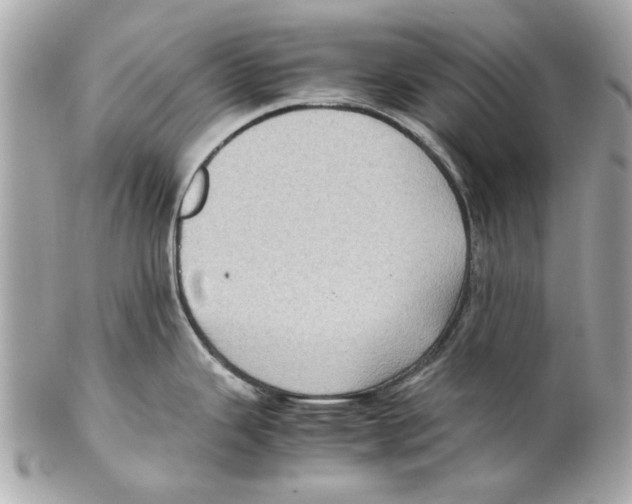 X0000102011343200808151242