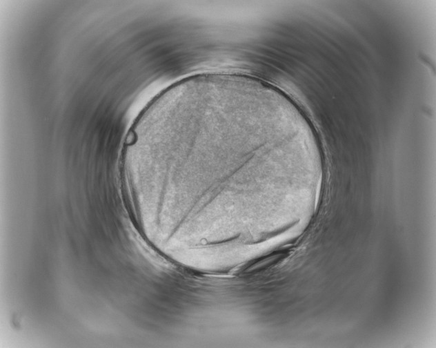 X0000102011344200808151242