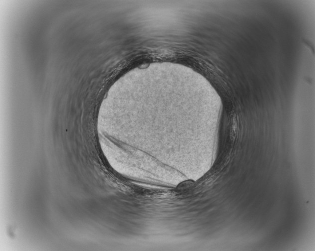 X0000102011345200808151242