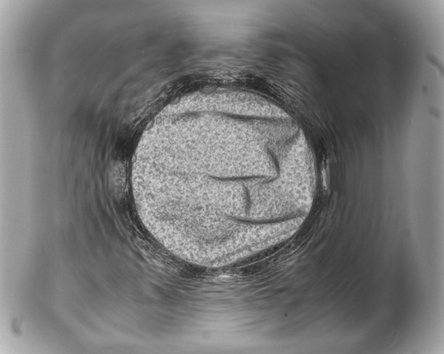 X0000102011347200808151242