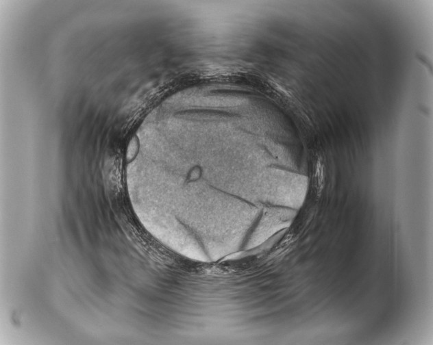 X0000102011348200808151242