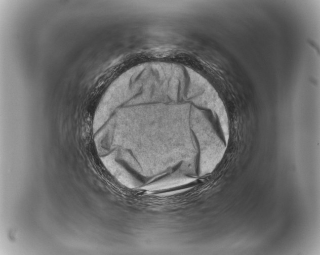 X0000102011349200808151242